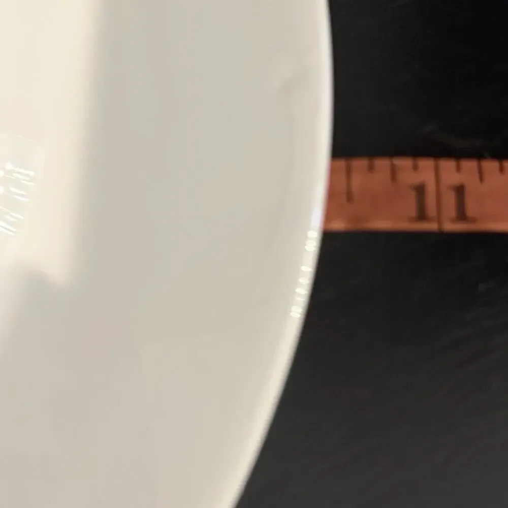 Pier 1 Pink Rim / Edge Handpainted Dinner Plates 10.5